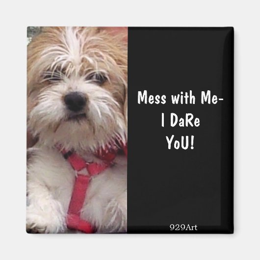 Er is niets anders dan een hond magneet (Voorkant)