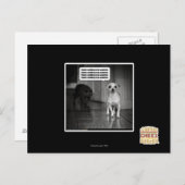 Er is niets om bang voor te zijn briefkaart (Voorkant / Achterkant)