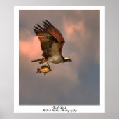 Er is vis poster (Voorkant)