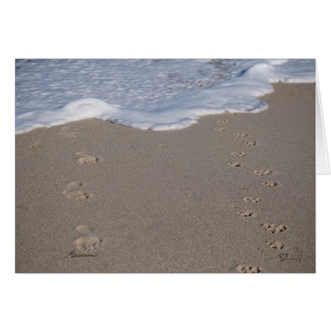 Er kan geen tijd worden bespaard. Besteed het vers (Voorkant Horizontaal)