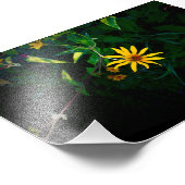 Er ontstaat een bloem foto afdruk (Hoek)