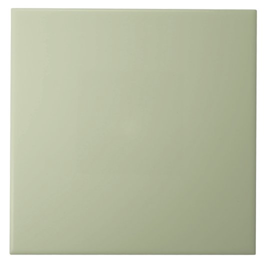 ER Sage Groen bfc6a3 FN Tegeltje (Voorkant)