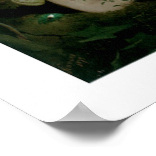 Er slapen tiania poster (Hoek)