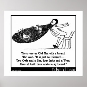 Er was een oud Man met een baard Poster