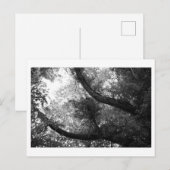 Er was eens in het bos briefkaart (Voorkant / Achterkant)