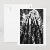 Er was eens in het bos briefkaart (Voorkant / Achterkant)