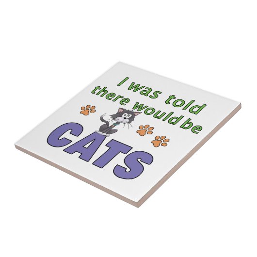 Er werd me verteld dat er CATS zou zijn Tegeltje (Zijkant)