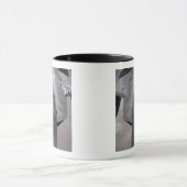 Er wordt een US Air Force F-22 Raptor bijgetankt Mok (Midden)