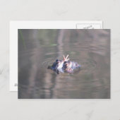 Er zijn er 3 in dit relatie briefkaart (Voorkant / Achterkant)