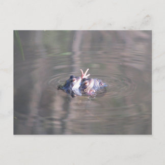 Er zijn er 3 in dit relatie briefkaart