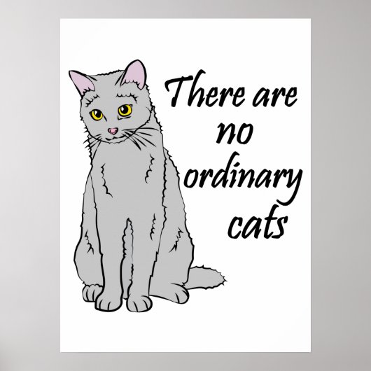 Er zijn geen gewone katten poster (Voorkant)