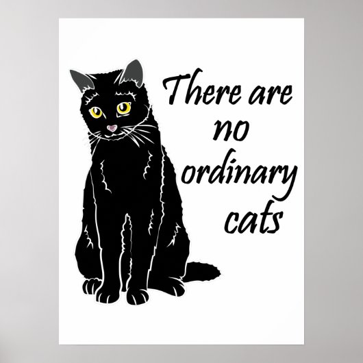 Er zijn geen gewone katten poster (Voorkant)