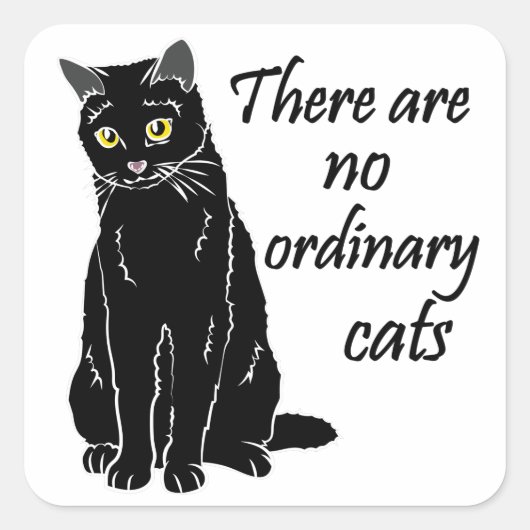 Er zijn geen gewone katten vierkante sticker (Voorkant)