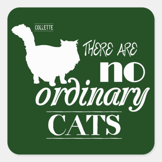 Er zijn geen gewone katten vierkante sticker (Voorkant)