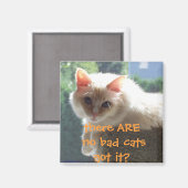 Er zijn geen slechte katten... begrepen? magneet (Voorkant / Achterkant)