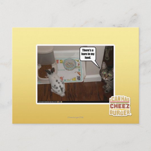 Er zit een haas in mijn eten. briefkaart (Voorkant)