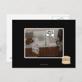 Er zit een haas in mijn eten. briefkaart (Voorkant / Achterkant)