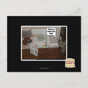 Er zit een haas in mijn eten. briefkaart