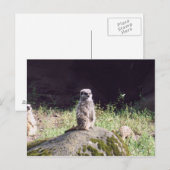 erdmann briefkaart (Voorkant / Achterkant)