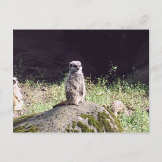 erdmann briefkaart (Voorkant)