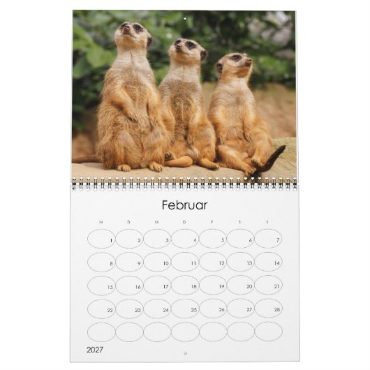 Erdmännchen02 Kalender (Feb 2027)