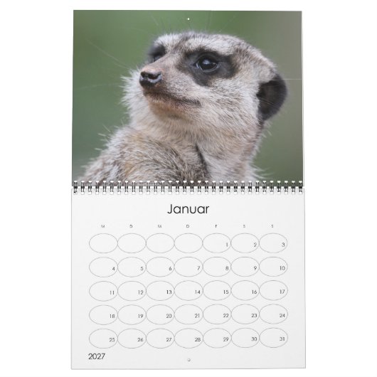 Erdmännchen02 Kalender (Jan 2027)