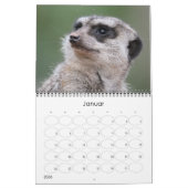 Erdmännchen02 Kalender (Jan 2026)