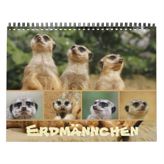Erdmännchen02 Kalender (Hoes)