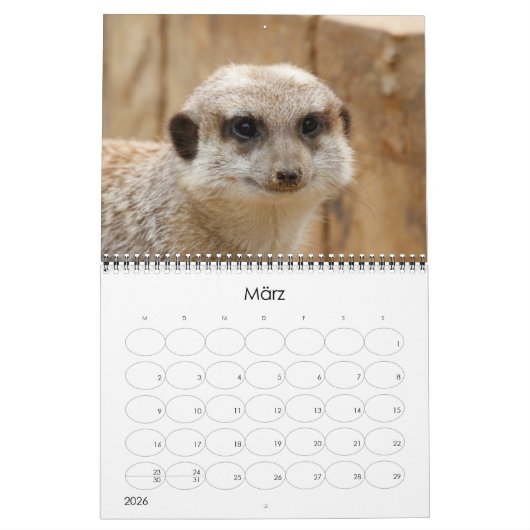 Erdmännchen02 Kalender (Mar 2026)