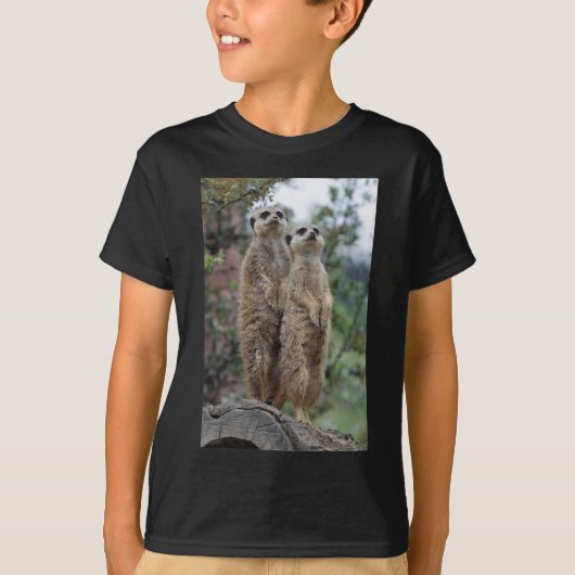 Erdmännchen Dreamweaver team T-shirt (Voorkant)