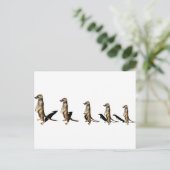 Erdmännchen in Reihe Briefkaart (Staand voorkant)