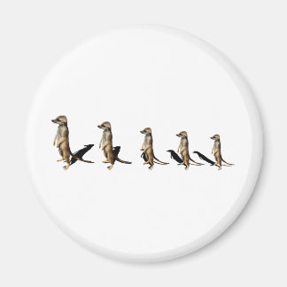 Erdmännchen in Reihe Magneet