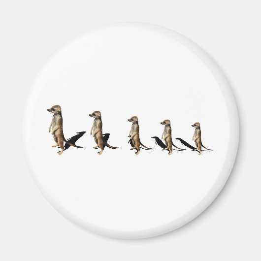 Erdmännchen in Reihe Magneet (Voorkant)