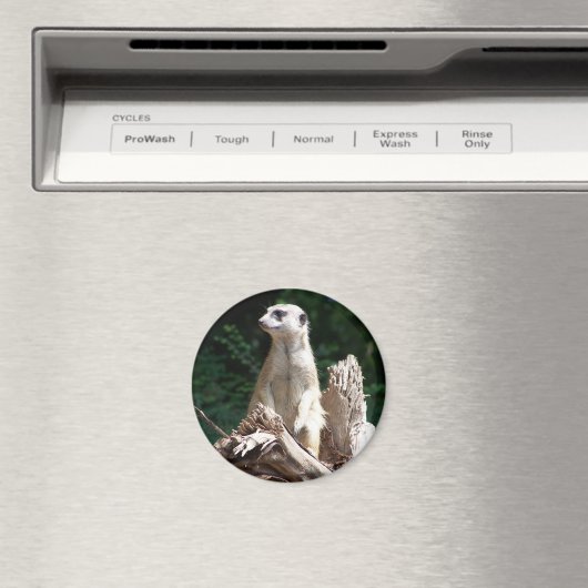 Erdmännchen Magneet (Insitu (Vaatwasser))