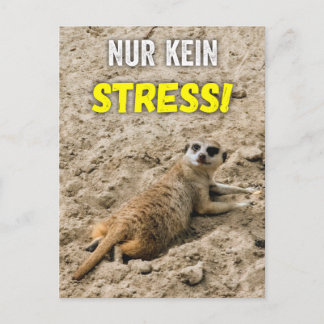 Erdmännchen-Postkarte ‚Nur kein Stress!‘ Postkarte Briefkaart