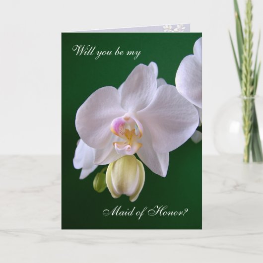 Ere-juffrouw. Orchidee kaart (Voorkant)
