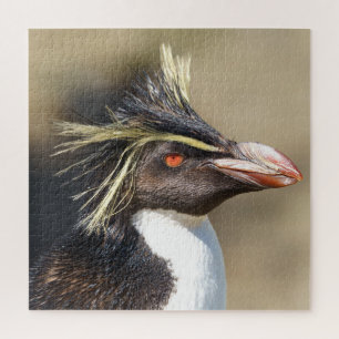 Erect-crested pinguïn legpuzzel