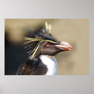 Erect-crested pinguïn poster
