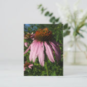 Erect Kone Flower Briefkaart (Staand voorkant)