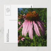 Erect Kone Flower Briefkaart (Voorkant / Achterkant)