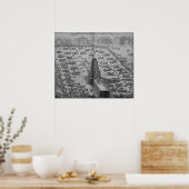 Erectie van de oude Egyptische Obelisk Poster (Keuken)