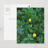 Ereprijs en boterbloemen briefkaart (Voorkant / Achterkant)