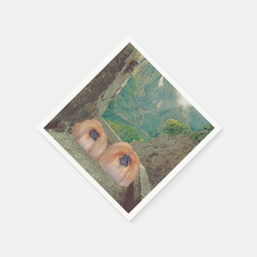 erfgoed servetten (Hoek)