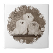 erfgoed tegeltje (Voorkant)