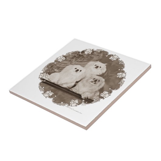 erfgoed tegeltje (Zijkant)