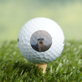 Erg schattig golfballen (Insitu Shirt)