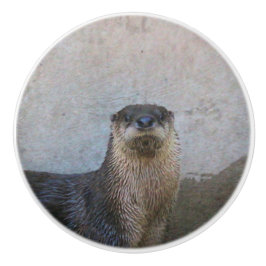 Erg schattig keramische knop