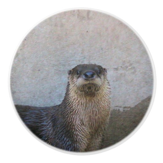 Erg schattig keramische knop (Voorkant)