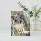 Erg schattige eekhoorn hallo briefkaart (Staand voorkant)