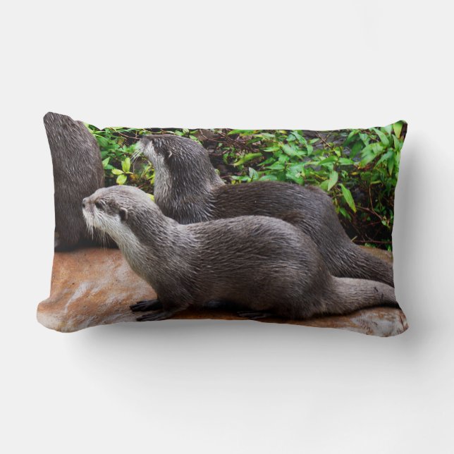 Erg Schattige, otters, lumbale loungekussen. Kussen (Voorkant)